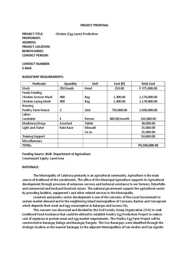 layer production project proposal template