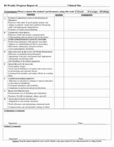 bi-weekly-progress-report-template