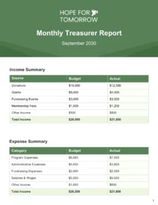 Non Profit Treasurer Report Template non-profit-treasurer-report-template