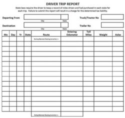Truck Driver Trip Report Template truck-driver-trip-report-template