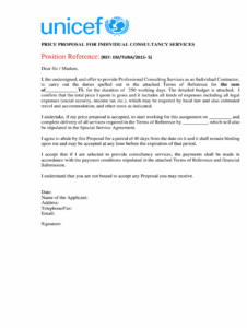 un-consultant-financial-proposal-template