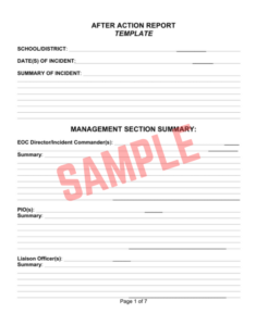 Emergency Management After Action Report Template